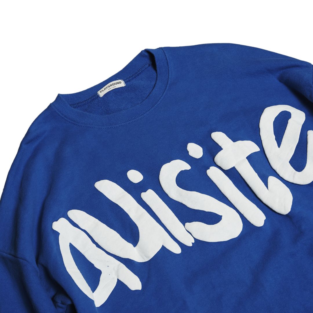 Quisite Blue Sweater