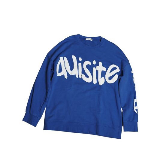 Quisite Blue Sweater